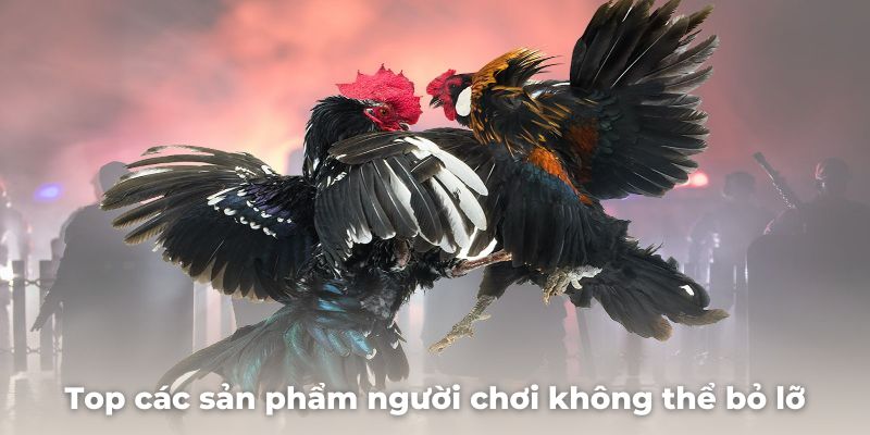 Top các sản phẩm người chơi không thể bỏ lỡ tại sảnh game này